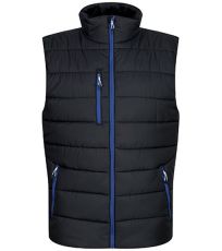 Navigace Thermal Bodywarmer Navigate Thermal Bodywarmer REGATTA